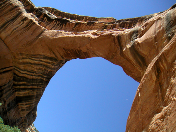Gorgeous blue skies to hike White Canyon in Bridges National Monument