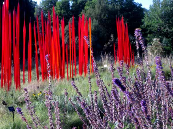 Chihuly at DBG 2014 - Red Reeds (9)